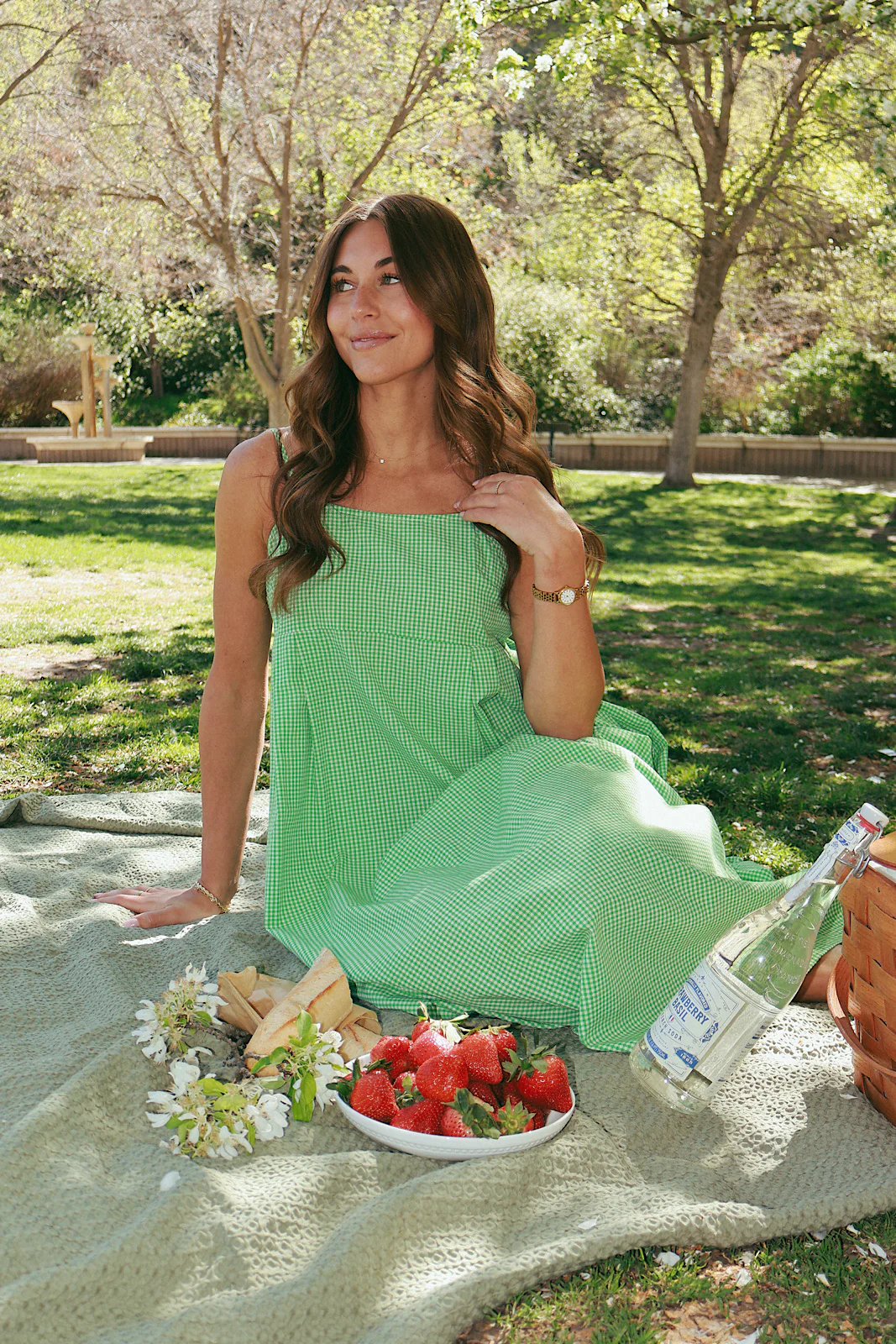 Alice Gingham Midi in Apple Green - Image 5