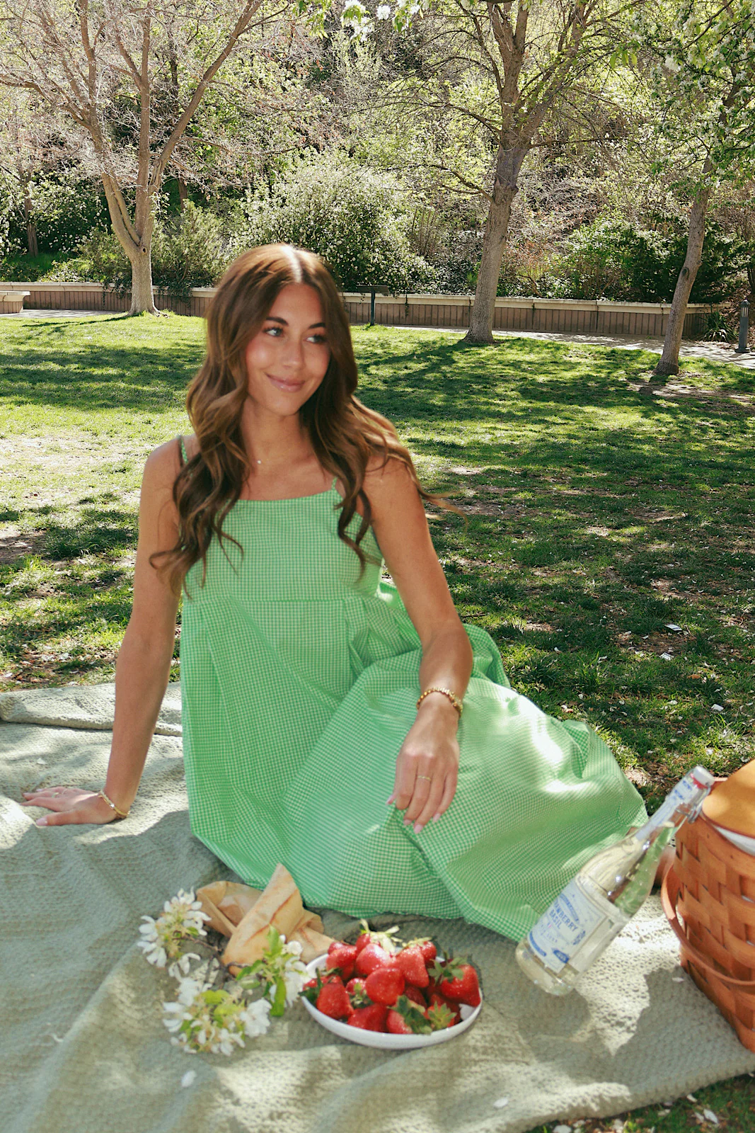 Alice Gingham Midi in Apple Green - Image 6