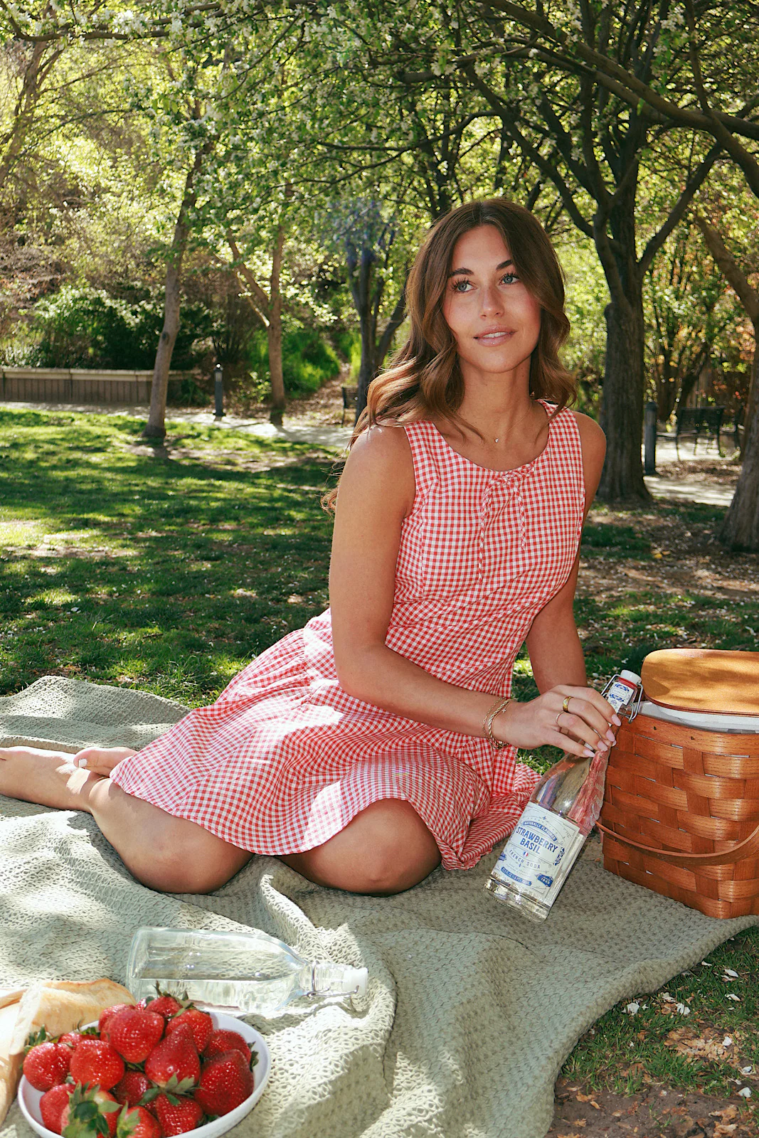 Berry Sweet Gingham Dress - Image 3