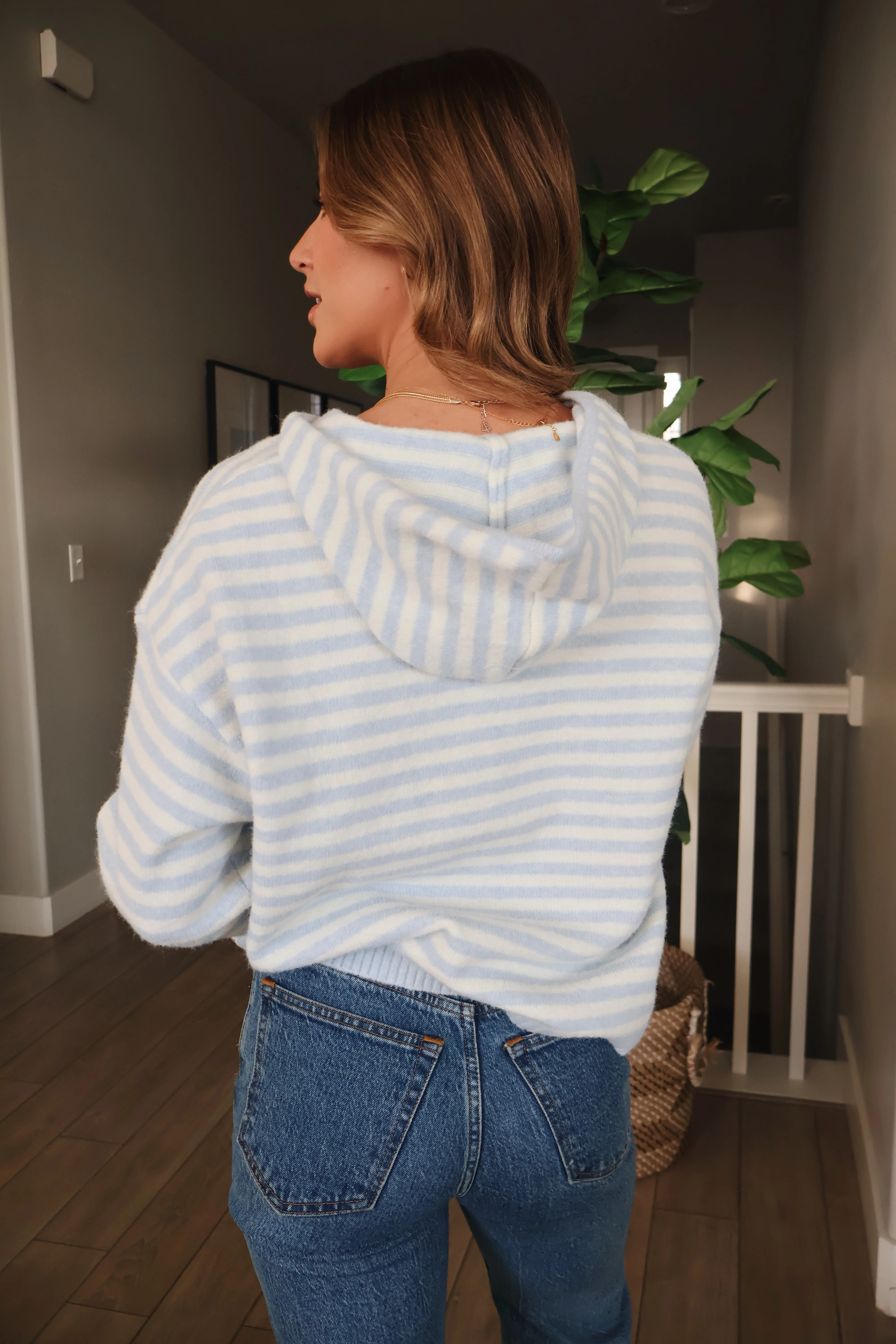 Myles Stripe Hooded Jacket - Image 3