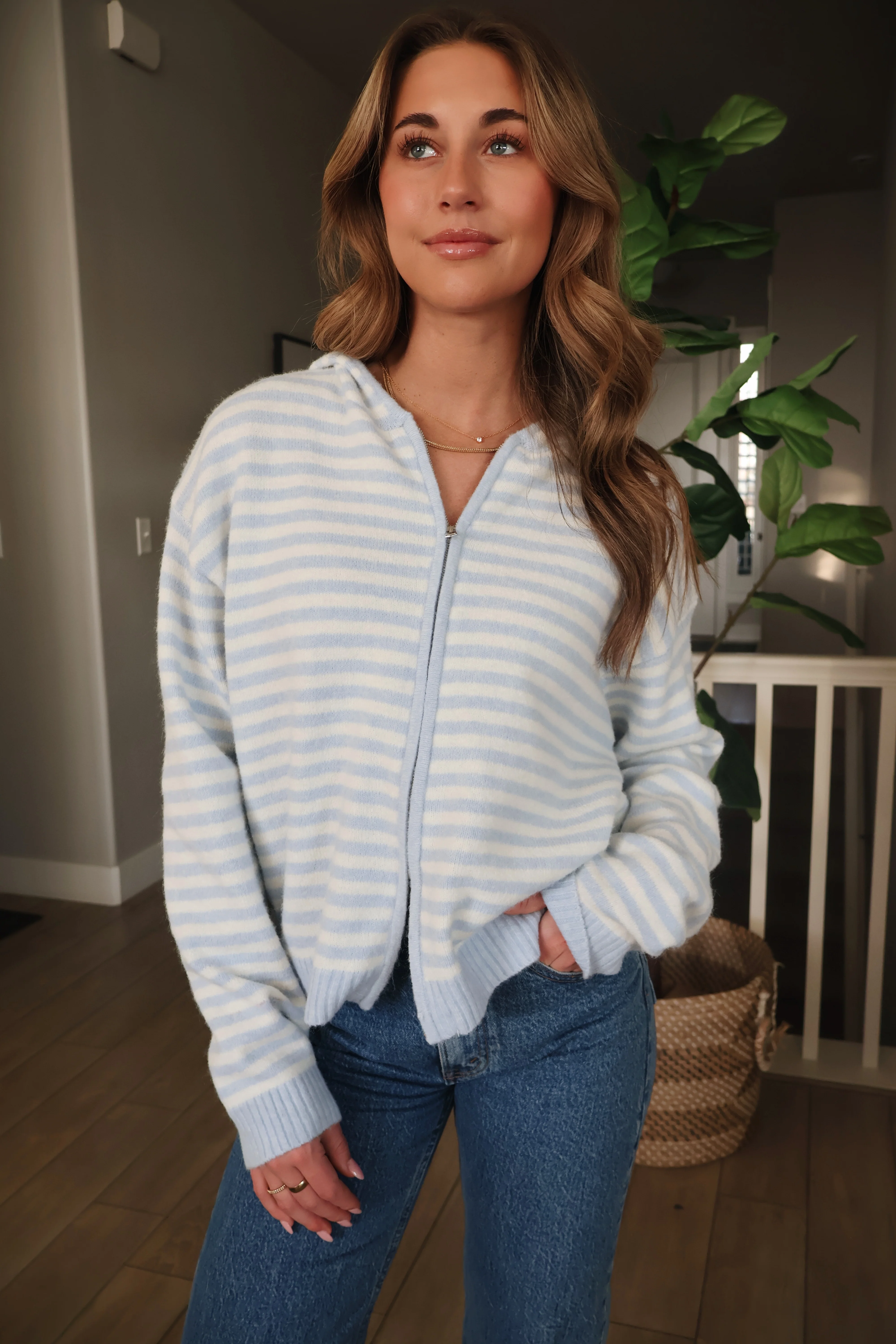 Myles Stripe Hooded Jacket - Image 4