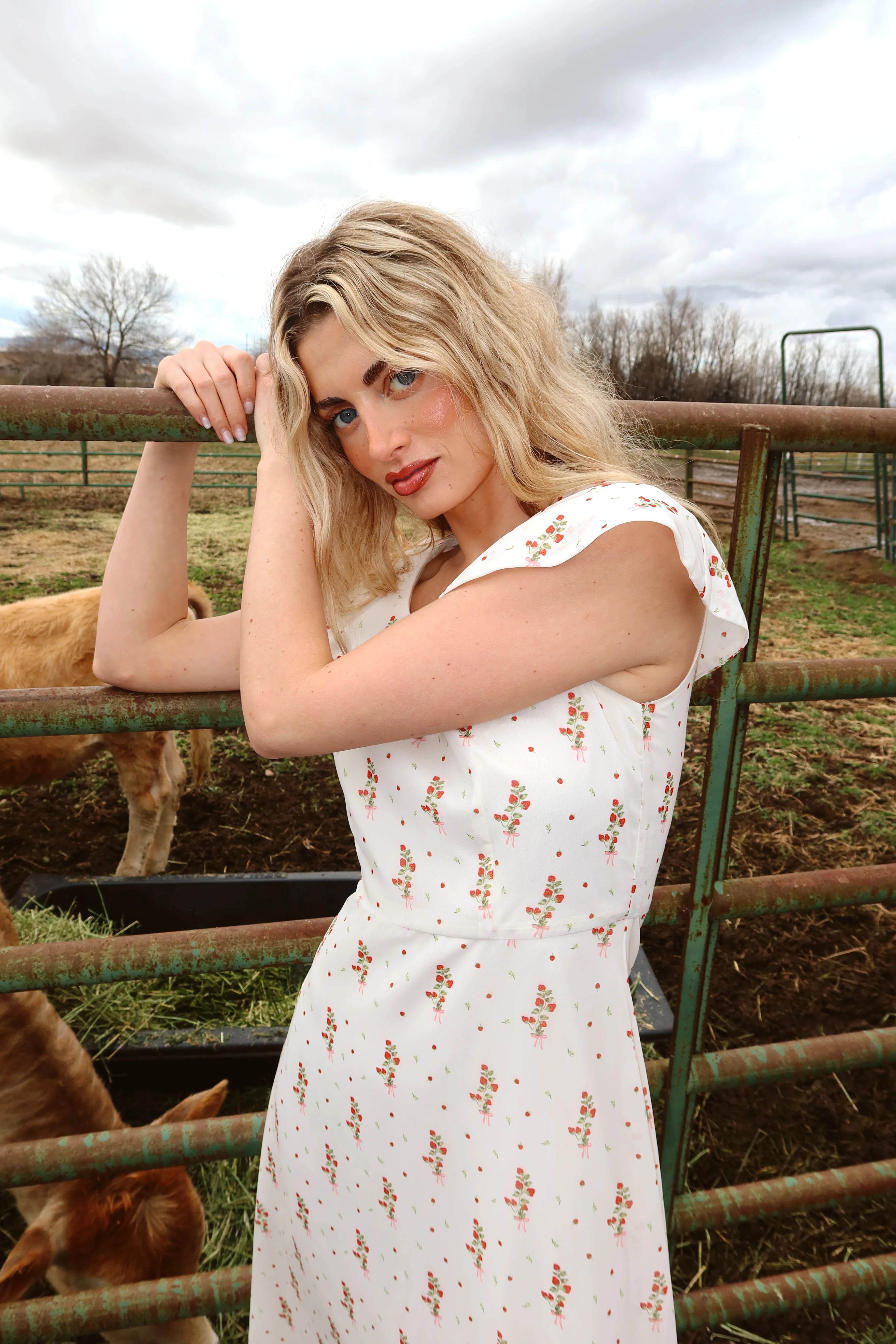 Strawberry Lane Dress - Image 11