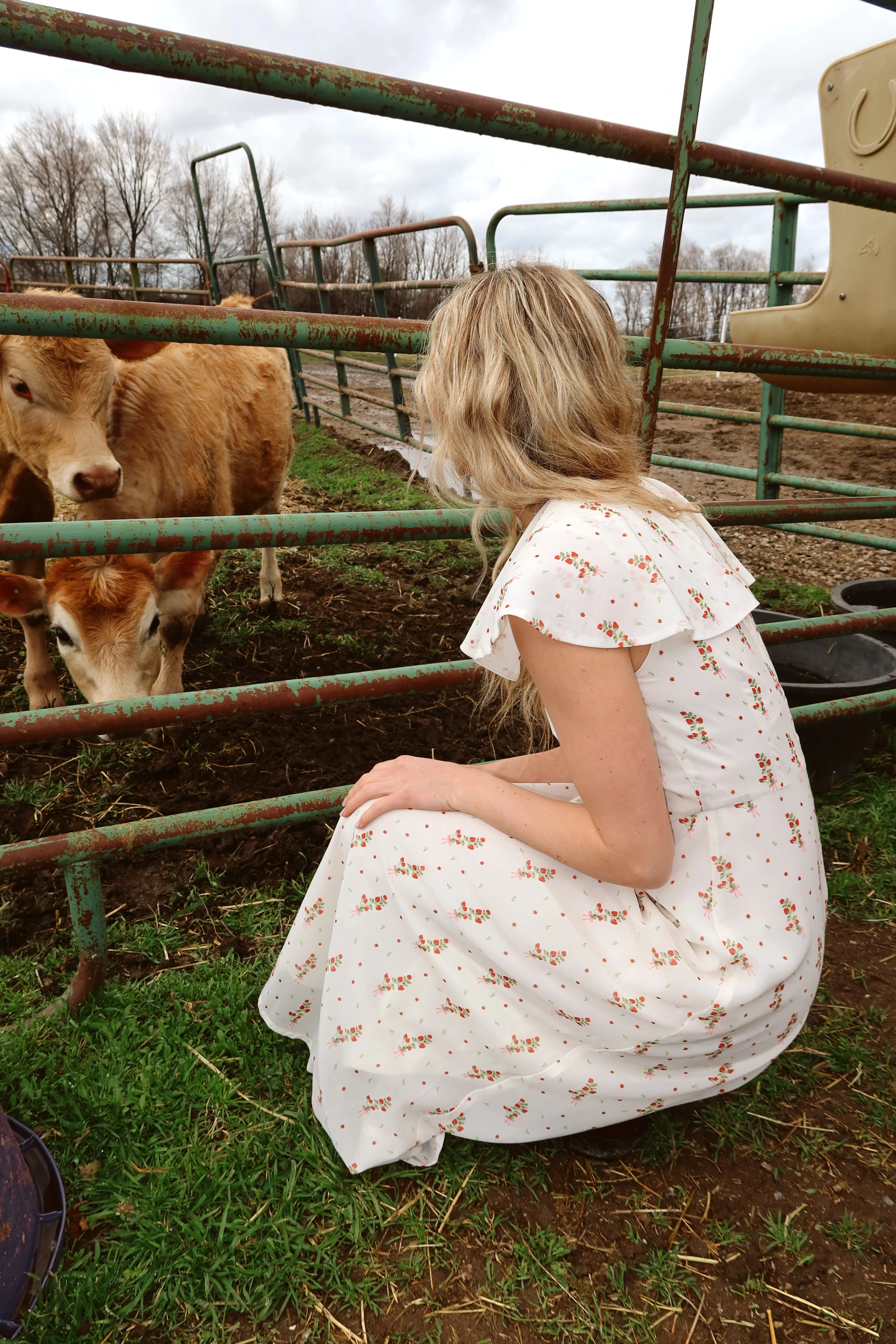 Strawberry Lane Dress - Image 7