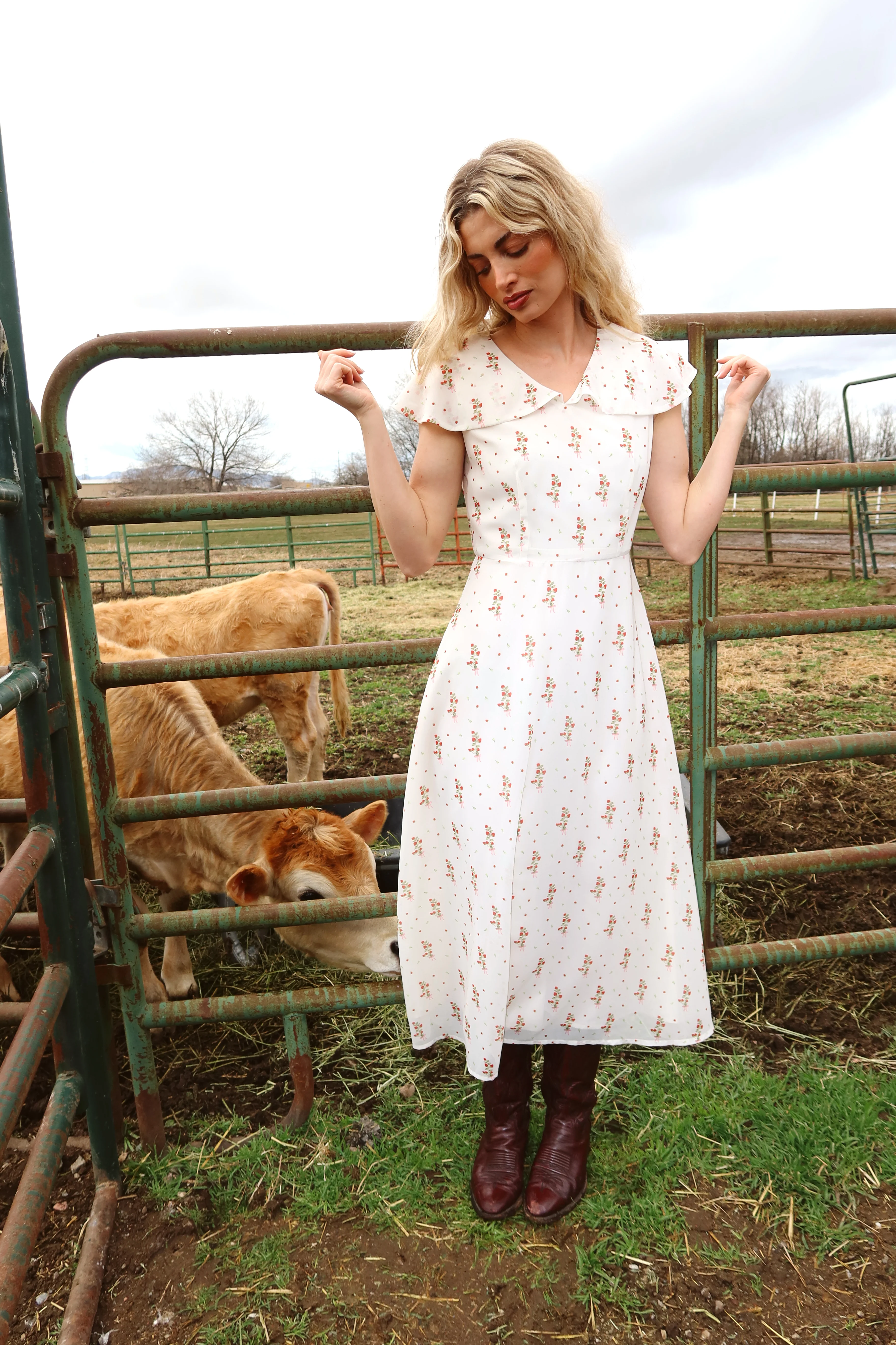Strawberry Lane Dress - Image 9